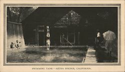 Swimming Tank Postcard