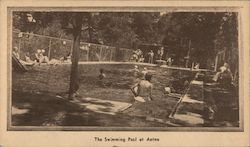The Swimming Pool at Aetna Springs Postcard