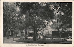 Aetna Springs Cottages Postcard