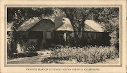 Francis Marion Cottage Postcard