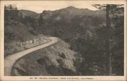 Mt. St. Helena Highway Postcard