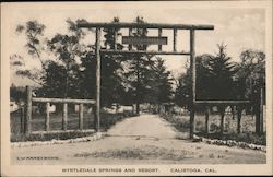 Myrtledale Springs and Resort Postcard