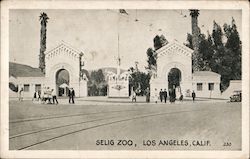 Selig Zoo Postcard