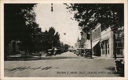 Brown St. Napa, CA Postcard Postcard Postcard