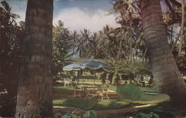 The Willard Inn Honolulu Hawaii