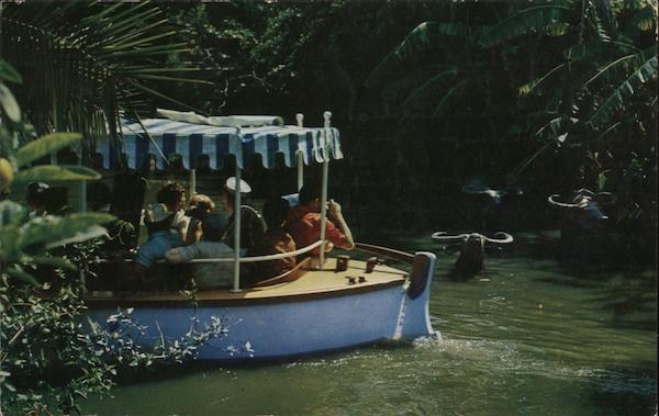 A Family of Indian Water Buffalo, Disneyland