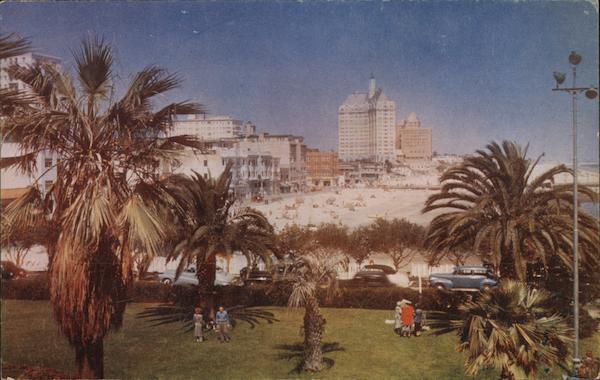 Looking Eastward from Auditorium Park Long Beach California