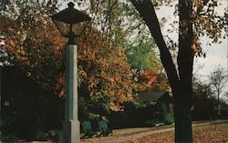 Cottages at Giant City State Park Postcard