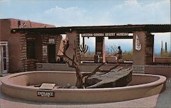 Lizard Pit Tucson, AZ Dick Parrish Postcard Postcard Postcard
