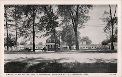 Maple Glen Motel Postcard