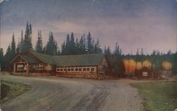 Kaibab Lodge: Grand Canyon National Park Postcard