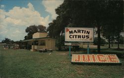 Martin's Circus Lake Wales, FL Postcard Postcard Postcard