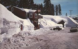 At Norden, Donner Summit Postcard