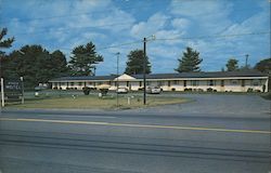 Knox Motel Postcard