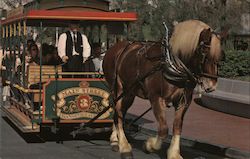 Horse-Drawn Streetcar Postcard