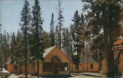 Yellowstone Motor Lodge Postcard