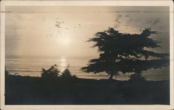 Scene near Carmel-by-the-Sea California