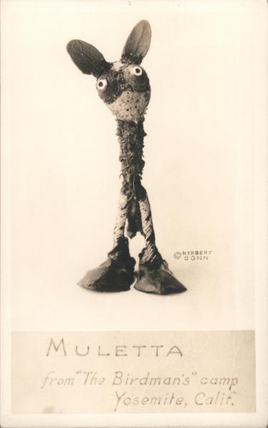 Muletta - From the Birdman's Camp, Yosemite, California