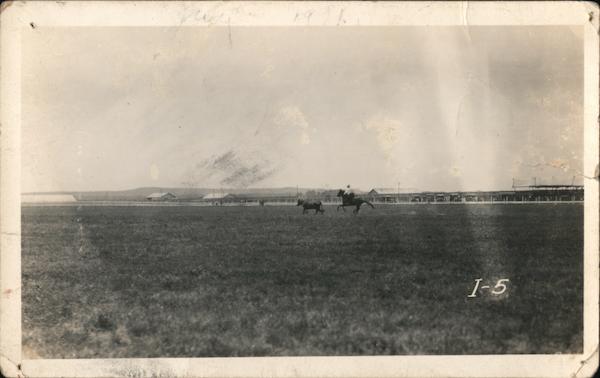 Cowboy Roping a Calf Rodeos