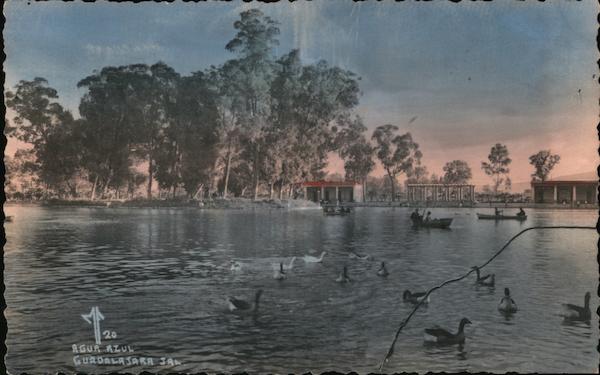 Agua Azul Guadalajara Jal Mexico