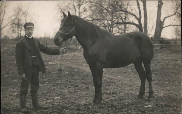Man with Horse Horses