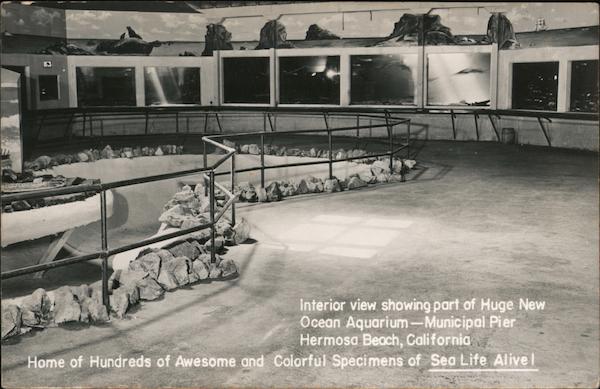 Interior view of Huge New Ocean Aquarium - Municipal Pier Hermosa Beach California