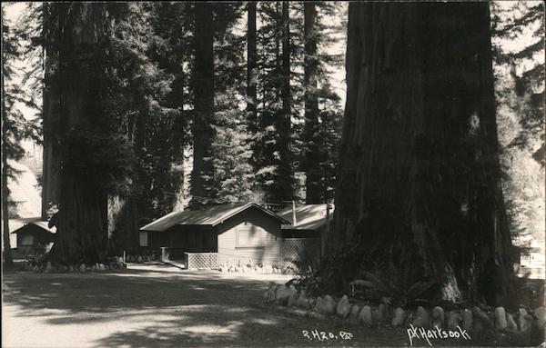 Cabins among Redwood Trees Piercy California P.K. Hartsook