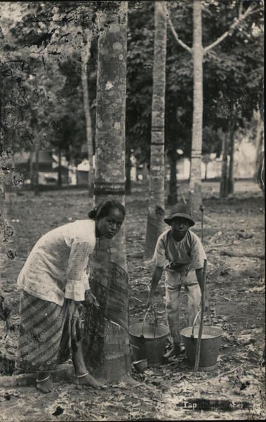Hauling Rubber Buckets Ceylon Southeast Asia