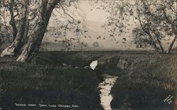 Pastoral Scene with Creek San Luis Obispo, CA Aston Photo Postcard Postcard Postcard