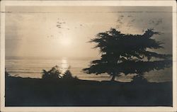 Scene near Carmel-by-the-Sea Postcard