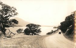 Clear Lake Boulevard Postcard