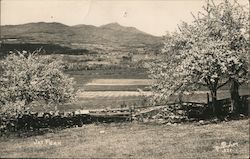 Jay Peak Vermont Richardson Postcard Postcard Postcard