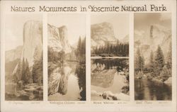 Natures Monuments in Yosemite National Park Postcard