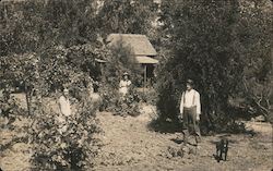 A Man, Woman, Teenage Child and Dog In Orchard Near Home Postcard