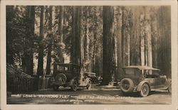 At Lane's Redwood Flat - on the Redwood Highway Leggett, CA Postcard Postcard Postcard