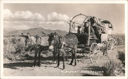 A Desert Prospector Postcard