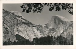 Half Dome Yosemite National Park Postcard Postcard Postcard