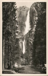 Yosemite Falls Yosemite National Park Postcard Postcard Postcard