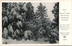 Stock #852957 Thumbnail