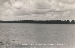 Swans on Lincoln Lake or Brownlee Lake Postcard