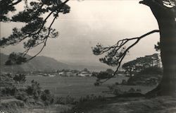 Stock #853135 Thumbnail