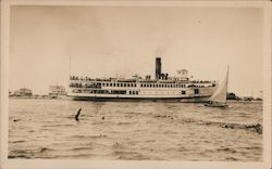 Passenger Steamer, Cape Cod? Steamers Postcard Postcard Postcard