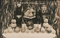 Fruit Raise in the Grand Colee Postcard