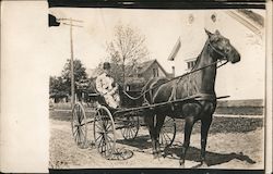 Man in Bowler Hat Riding in a Horse Drawn Buggy Postcard