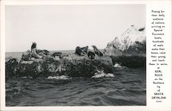 Seal Rock on the Southern Tip of Santa Catalina Postcard