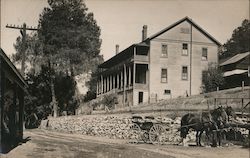 Horses with Buggy, Hotel Postcard