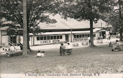 1. Skating Rink, Canadarago Park Postcard