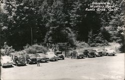 Entrance to "Mystery Spot" Postcard