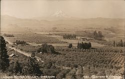 Hood River Valley Postcard