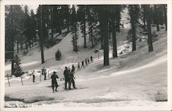 San Bernadino Mountains Ski Slopes California Postcard Postcard Postcard